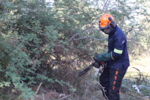 IMG_6167